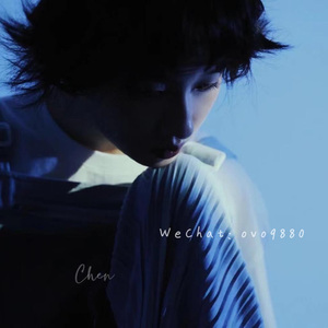 日本人与禽ZOZZO
