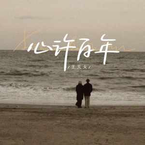 日本人与禽ZOZZO
