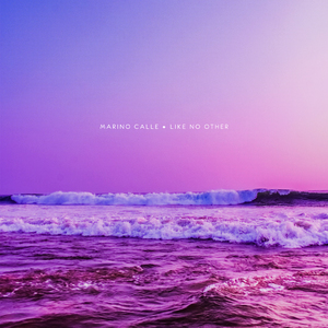 日本人与禽ZOZZO
